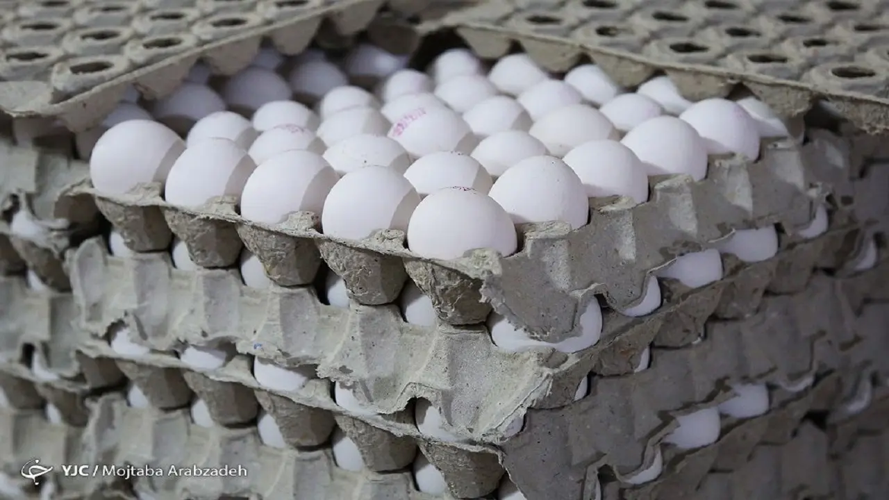 عرضه هر عدد تخم‌مرغ بالاتر از ۴ هزار تومان گرانفروشی است