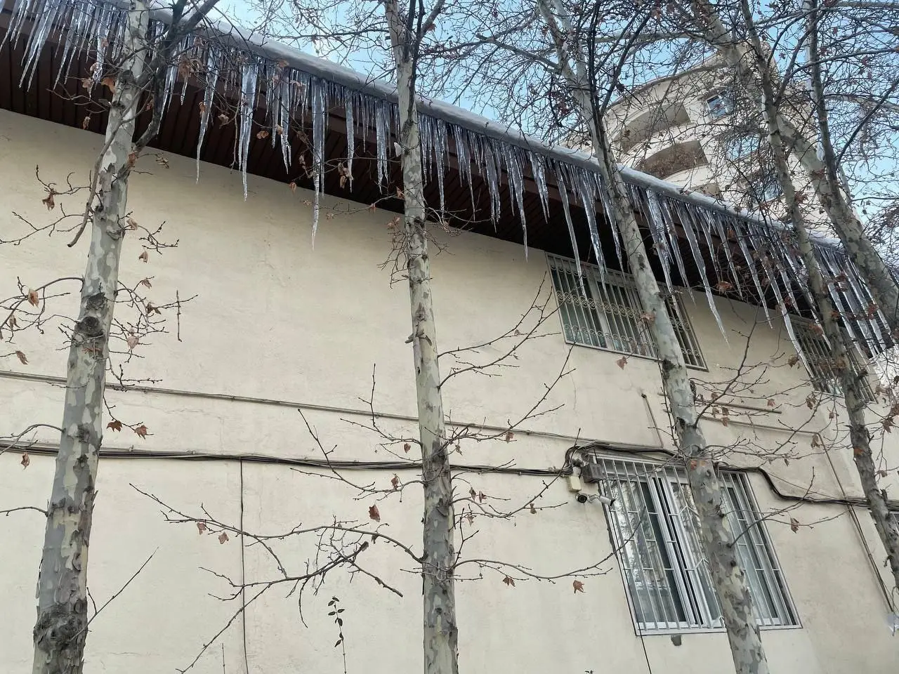 تهرانی‌ها شنبه منتظر سردترین صبح سال باشند!