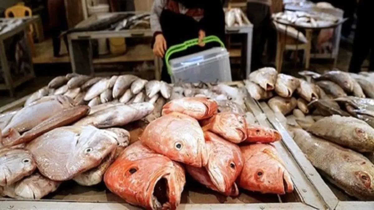 آخرین قیمت ماهی سفید در بازار/ ماهی سفید نجومی شد