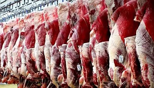 واکنش نماینده مجلس به گرانی گوشت و مرغ