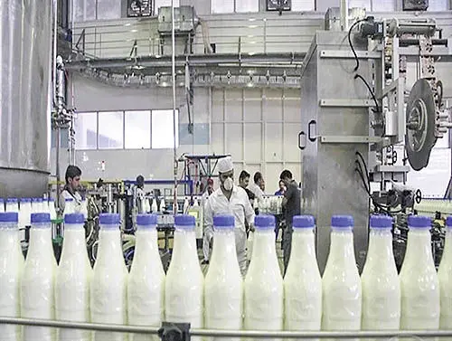 کاهش ۸۰ درصدی تعداد شرکت‌های لبنی ایران/ شیرها در انبار ماند!