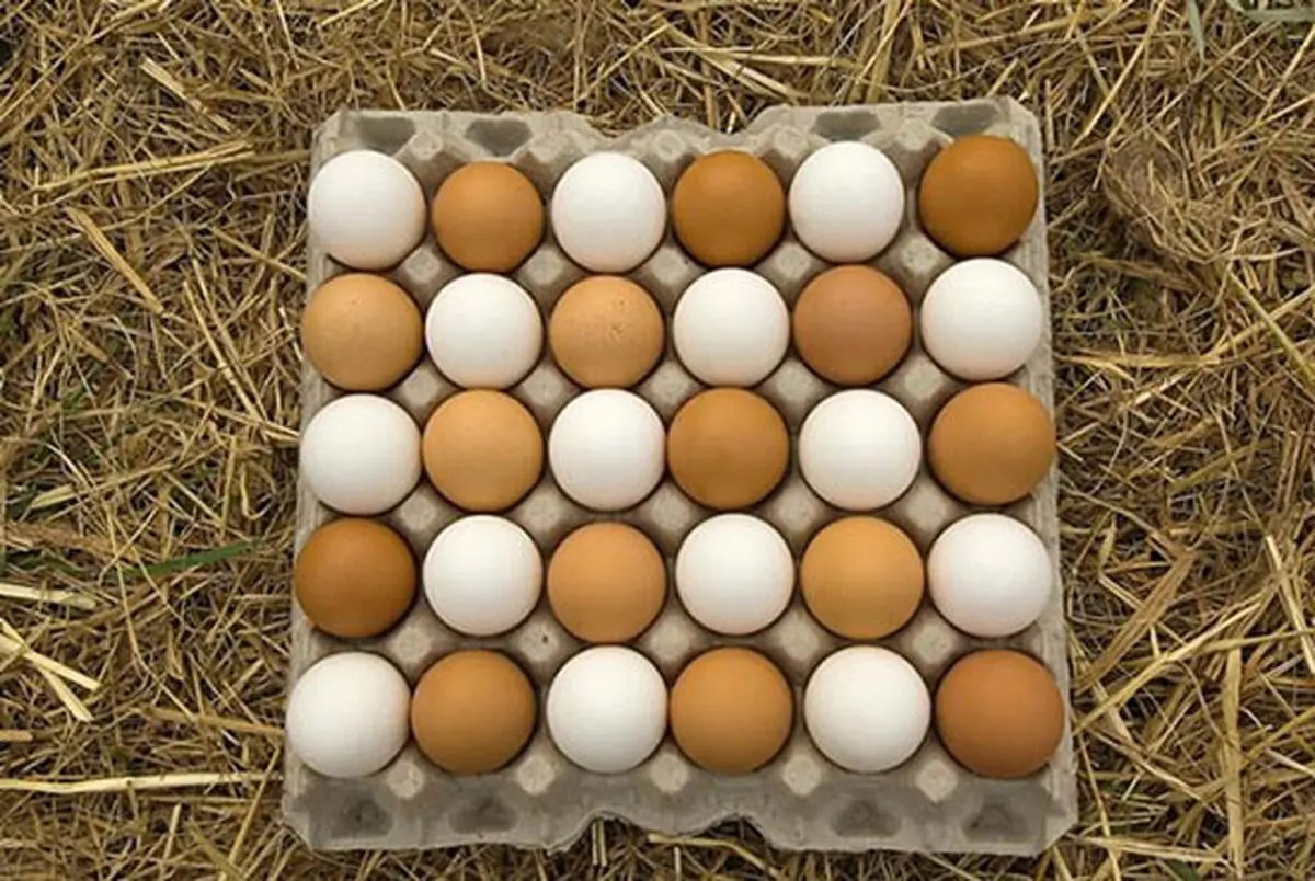 قیمت تخم مرغ در بازار امروز ۳۰ خرداد ۱۴۰۳+ جدول 