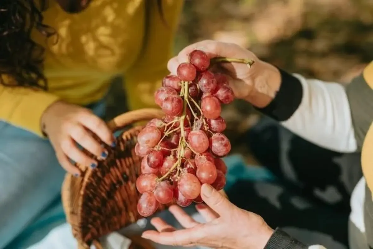 این میوه خوشمزه هم کبد چرب را درمان می‌کند هم باعث طول عمر می‌شود