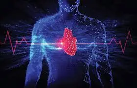 هوش مصنوعی نارسایی قلبی را از طریق اسکن پا تشخیص می‌دهد