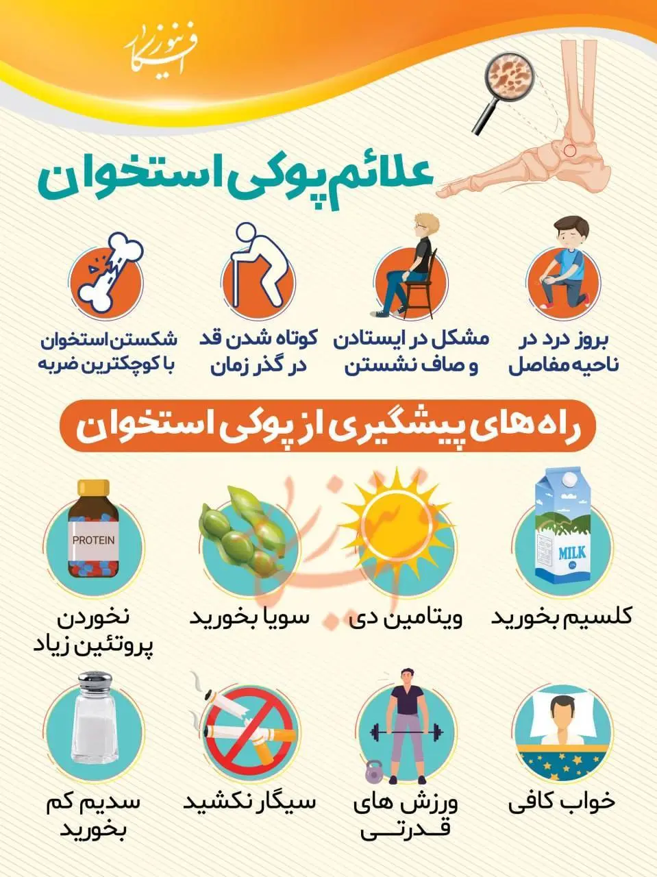 راه های پیشگیری از پوکی استخوان/ اینفوگرافی