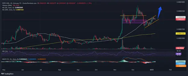 پیش بینی قیمت پپه:  کاهش یک درصدی قیمت PEPE با درخشش رقیب آن در پیش فروش 