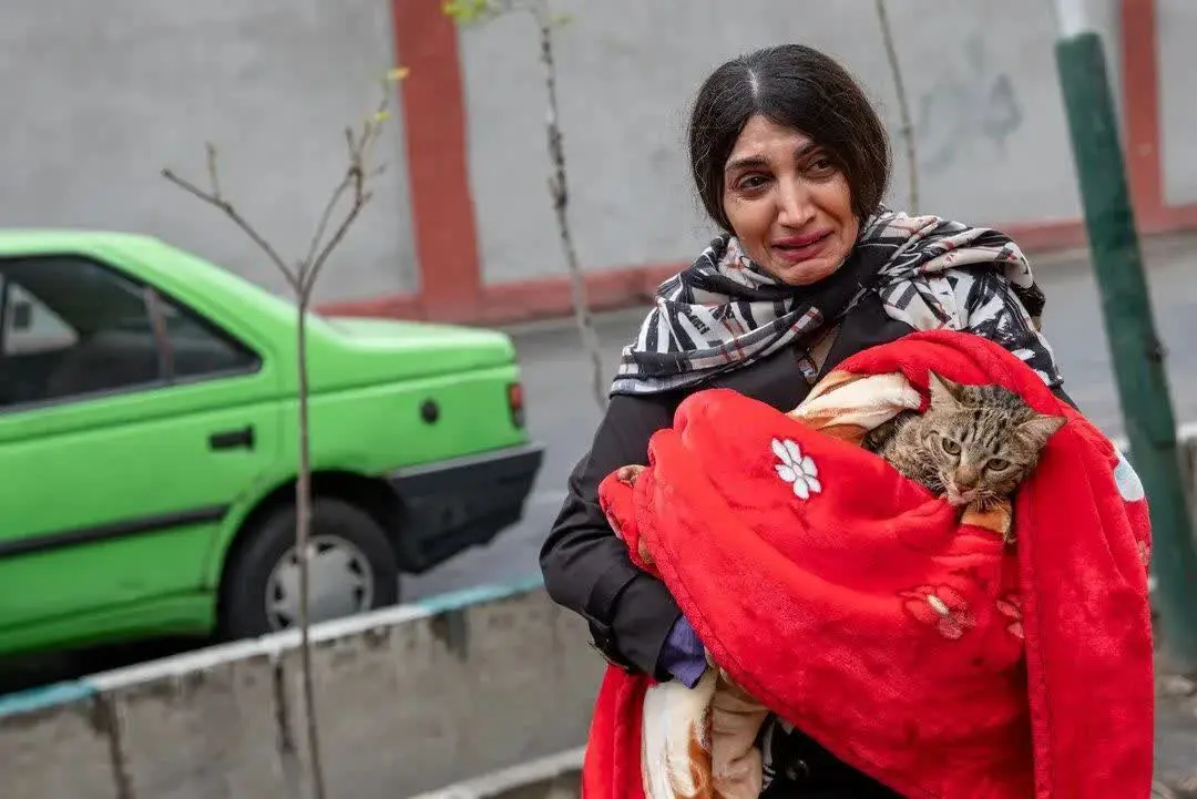 photo_۲۰۲۶-۰۳-۱۹_۰۱-۲۱-۱۸