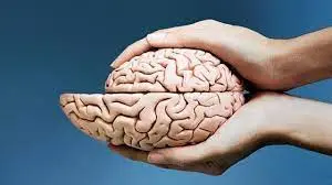 مغز انسان در حال بزرگ‌تر شدن است