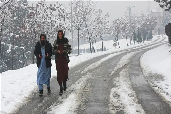 سرمای شدید و برف در افغانستان، 60 قربانی برجا گذاشت