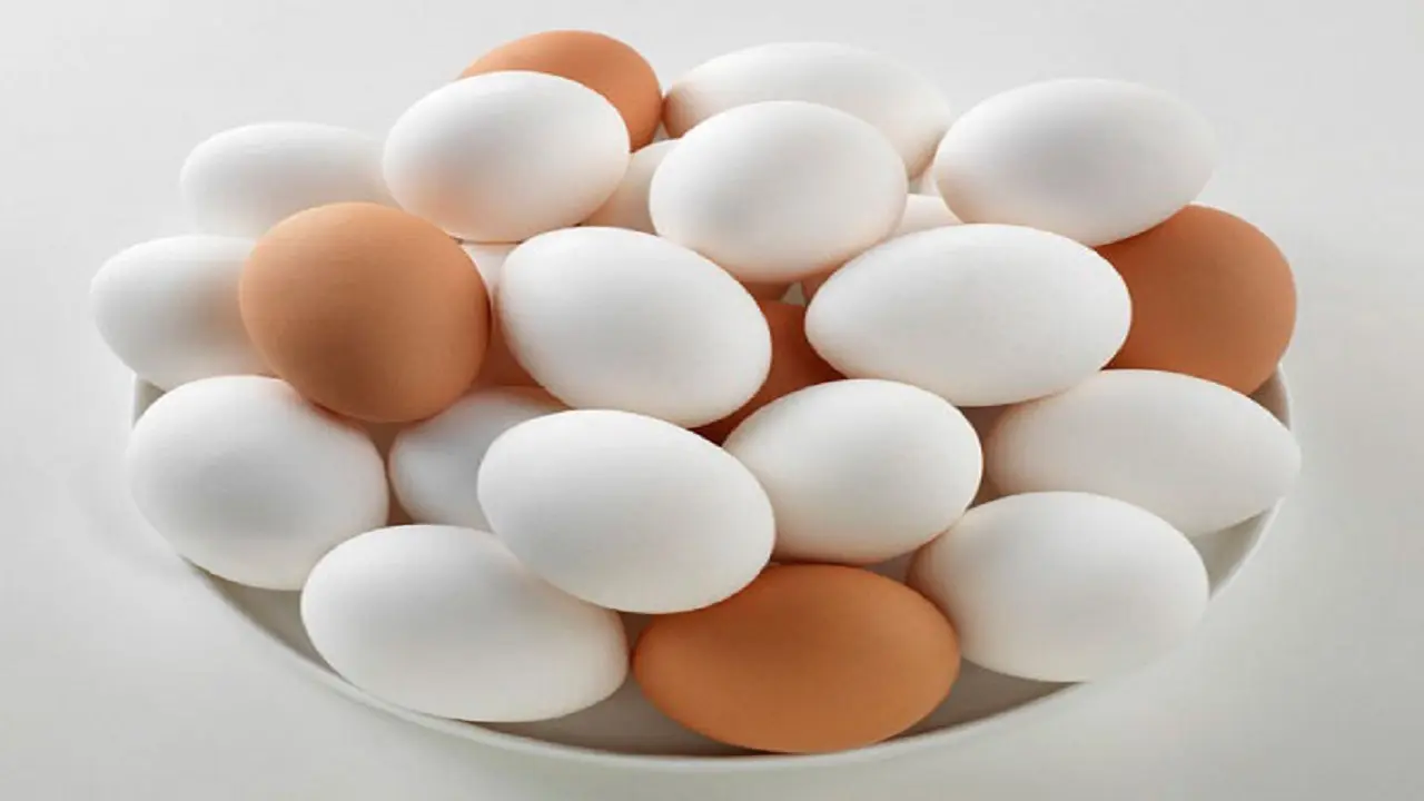 قیمت انواع تخم مرغ در بازار+ جدول