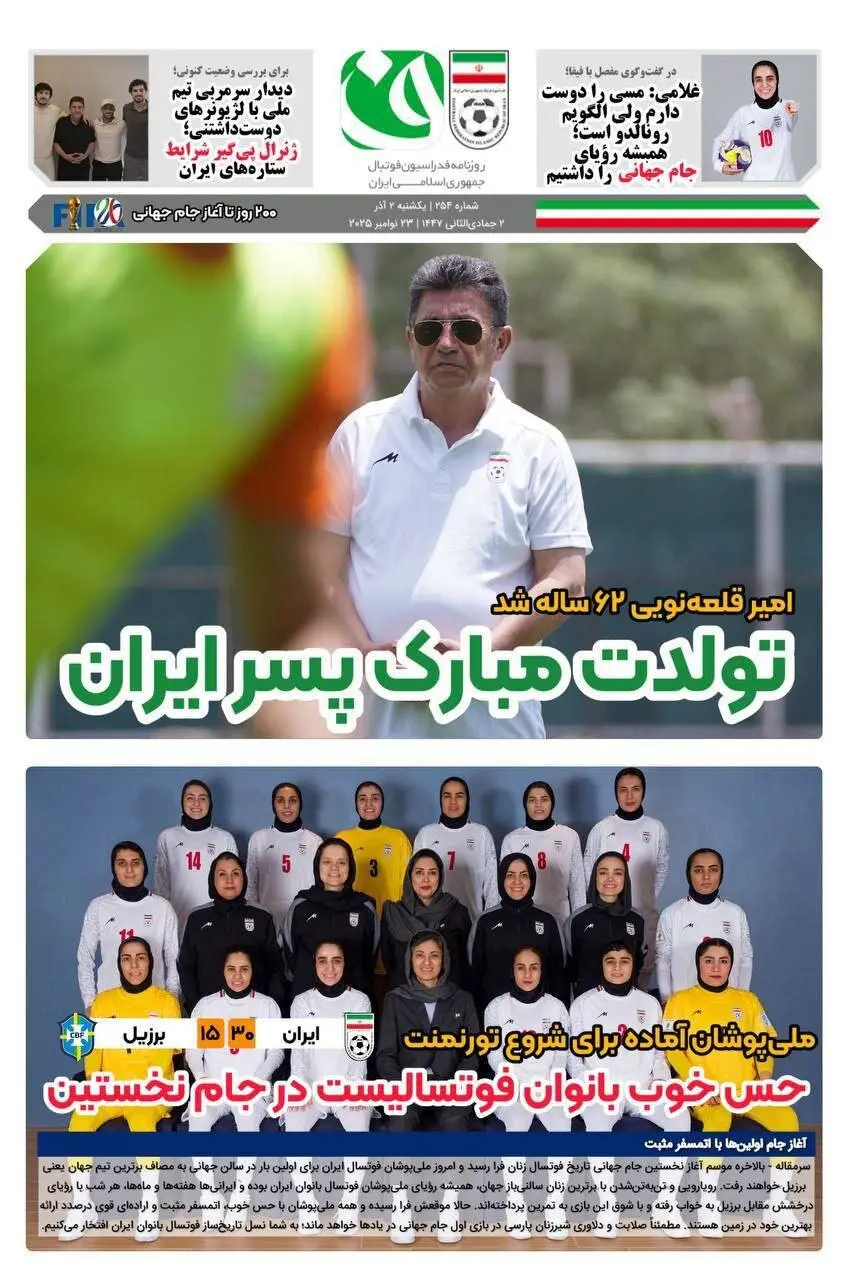 امیر قلعه‌نویی