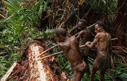آخرین قبایل آدمخوار باقی مانده در جهان را بشناسید+ عکس 