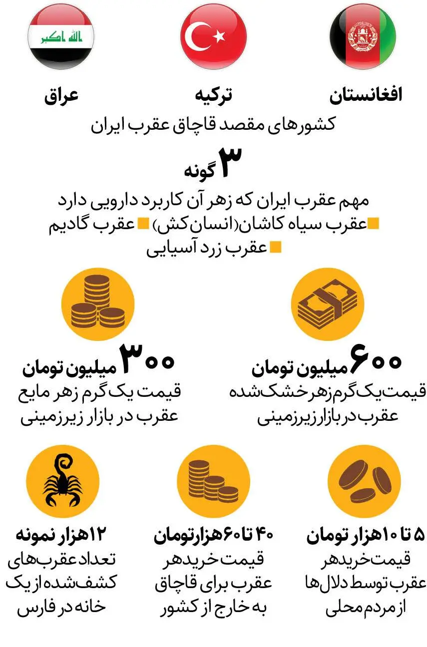 بازار‌های زیرزمینی خرید و فروش عقرب در ایران چه خبر است؟