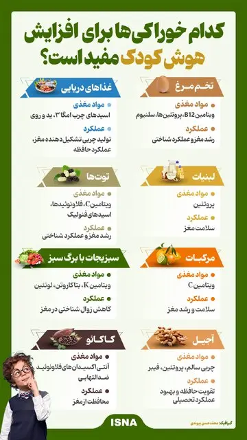 این خوراکی‌ها برای افزایش هوش کودک مفید است + اینفوگرافیک