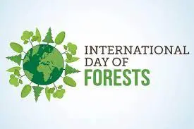 اول فروردین «روز جهانی جنگل» است؛ مراقب جنگل‌های‌مان باشیم