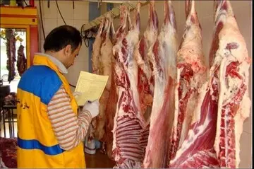وضعیت بحرانی گوشت؛ گرانی گوشت قرمز در راه 