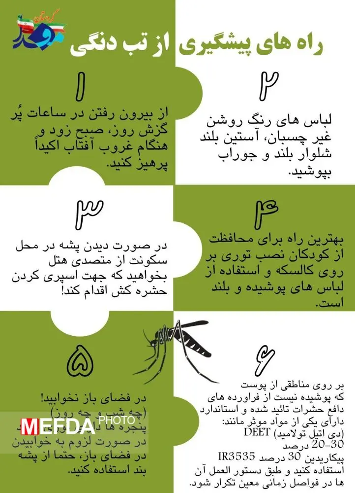 با این روش‌ها به تب دنگی مبتلا نشوید؛ اینفوگرافیک