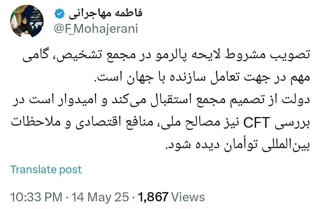 واکنش دولت پزشکیان به تصویب پالرمو در مجمع