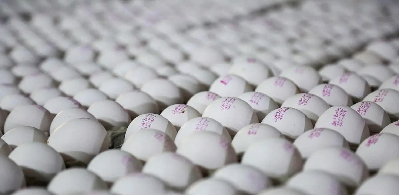 تولید تخم مرغ به یک میلیون و ۳۰۰ هزارتن می رسد