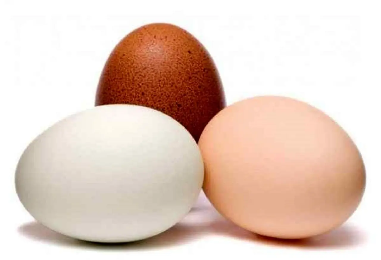 قیمت تخم مرغ امروز ۲۶ دی ۱۴۰۲