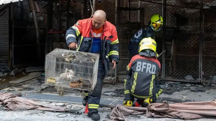 آتش‌سوزی در بازار؛ صد‌ها حیوان کشته شدند+ عکس 
