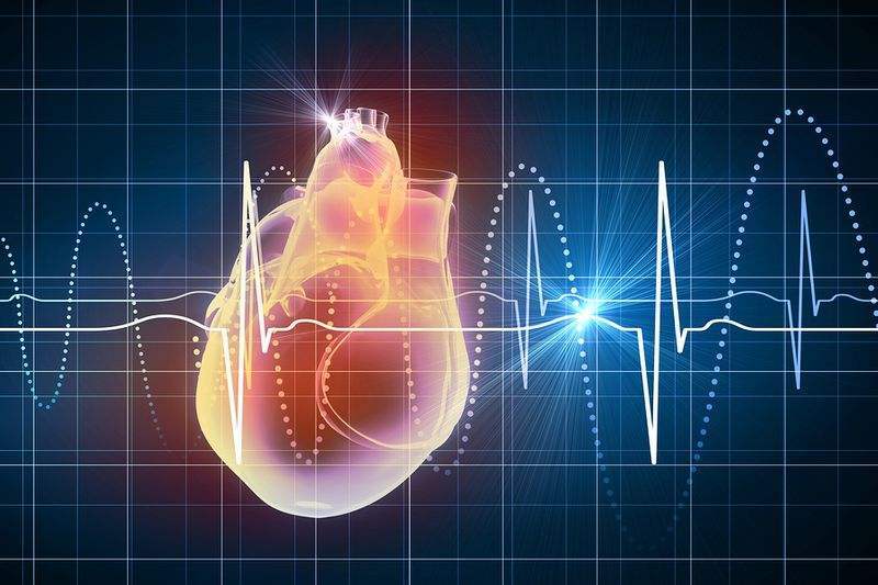 تعداد ضربان طبیعی قلب بر اساس سن و جنسیت چقدر باید باشد؟