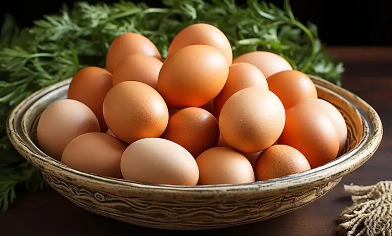 قیمت تخم مرغ در بازار امروز شنبه ۱ اردیبهشت ۱۴۰۳ + جدول