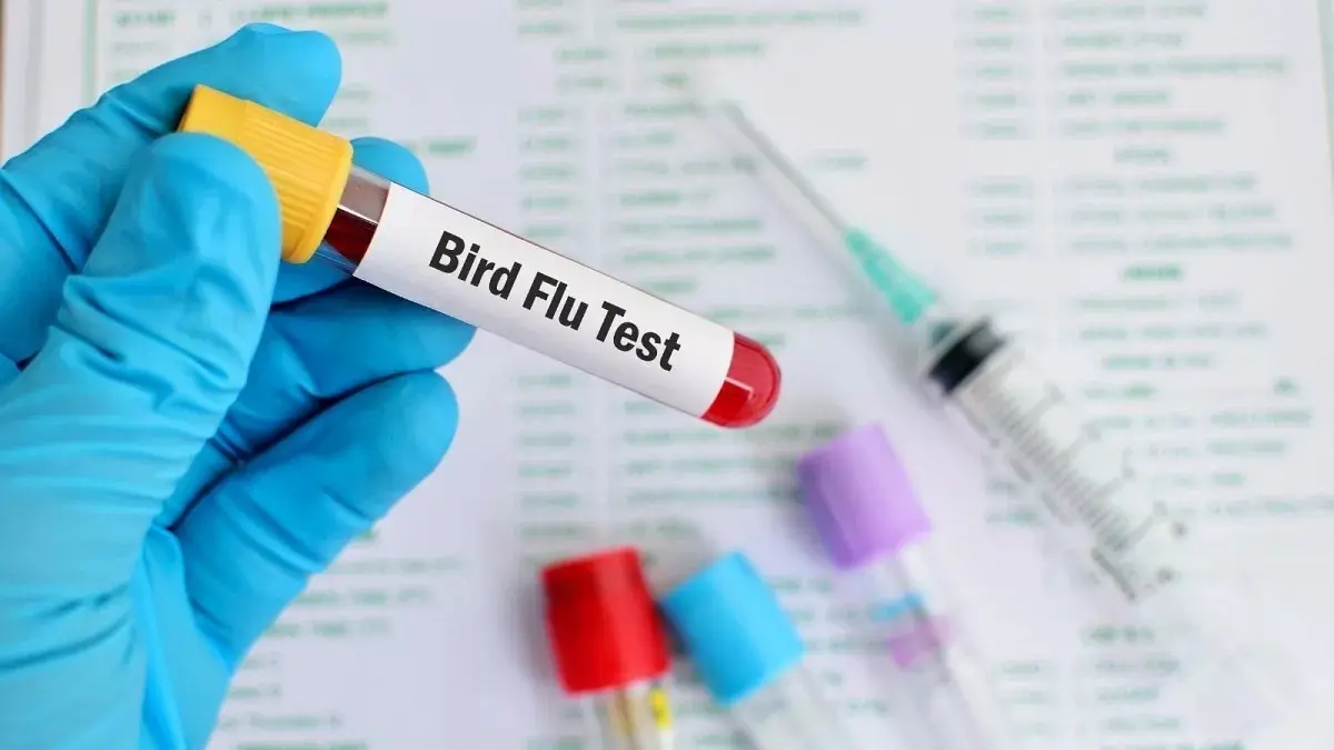 خبر ترسناک متخصصان از شیوع این نوع آنفلوآنزا