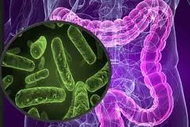 فضای سبز و تقویت سلامت میکروبیوتای روده و پوست