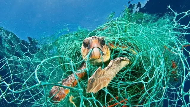 5 کشور آسیایی بیش از کل جهان زباله پلاستیکی در دریاها می‌ریزند