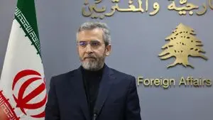 تاکید وزارت خارجه بر پیگیری وضعیت ایرانی بازداشت شده در پاریس