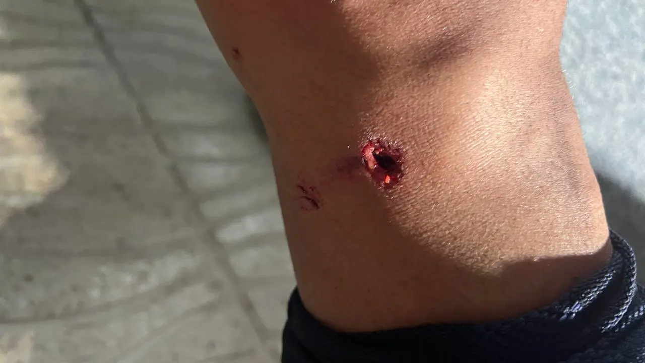 یاسین جرجانی