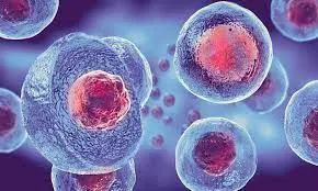 درمان بیماری با سلولهای بنیادی
