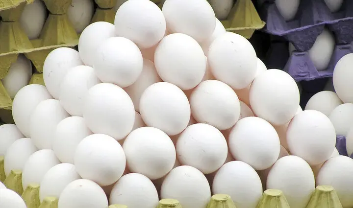 قیمت تخم مرغ امروز دوشنبه ۴ تیر ۱۴۰۳ + جدول