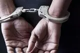 توضیح پلیس درباره بازداشت یکی از بازیگران معروف +جزئیات
