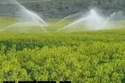	3200 هکتار از اراضی آذربایجان‌شرقی زیرکشت کلزا قرار دارد