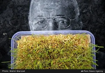 پنج شنبه آخر سال