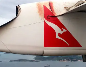 سفر مار پیتون روی بال هواپیما! + فیلم