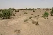 افتتاح ۴۴۸ پروژه مقابله با بیابان‌زایی در کشور/ کاهش اعتبارات مقابله با بیابان‌زایی