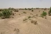 افتتاح ۴۴۸ پروژه مقابله با بیابان‌زایی در کشور/ کاهش اعتبارات مقابله با بیابان‌زایی