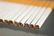 ادامه افزایش واردات سیگار