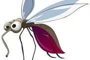 انتقال بیماری از پشه به انسان