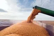 اخبار بد از اوکراین درباره بازار محصولات کشاورزی 