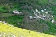 نرخ تورم سالانه روستایی کاهش یافت