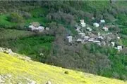 نرخ تورم سالانه روستایی کاهش یافت