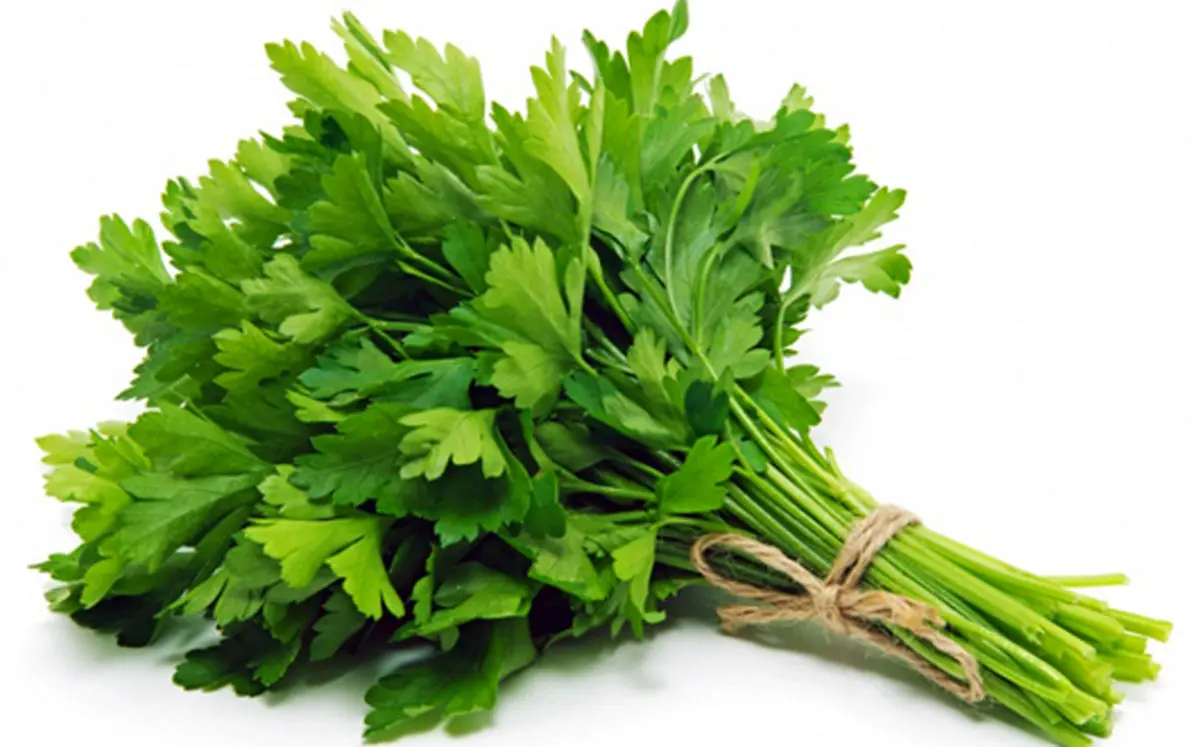 راهکاری برای دفع سریع سنگ کلیه