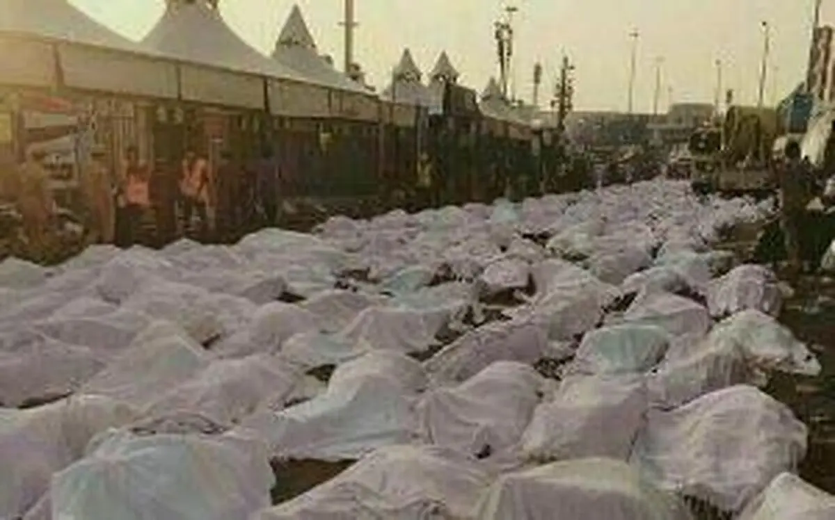 سازمان
حج و زیارت پیگیر "پرونده شهدای منا"
