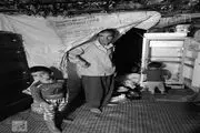 زندگی پر محنت خانواده تازه آبادی+تصاویر
