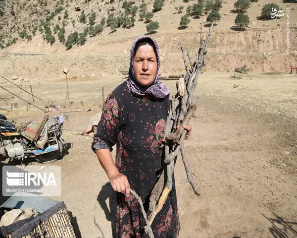 jJ12YcE2rVwO
