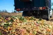 آمار باورنکردنی از اسراف مواد غذایی در عربستان سعودی